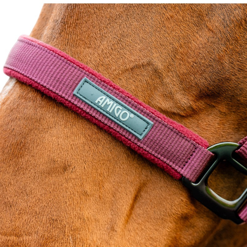 Horseware - Licol et longe Amigo mulberry