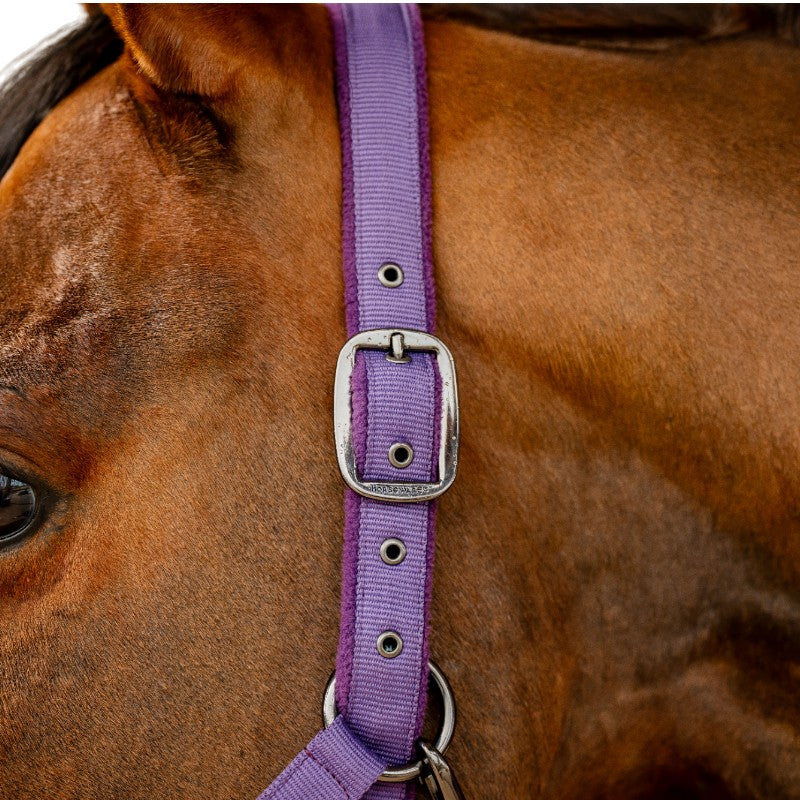 Horseware - Halster en longe Amigo winterbes 