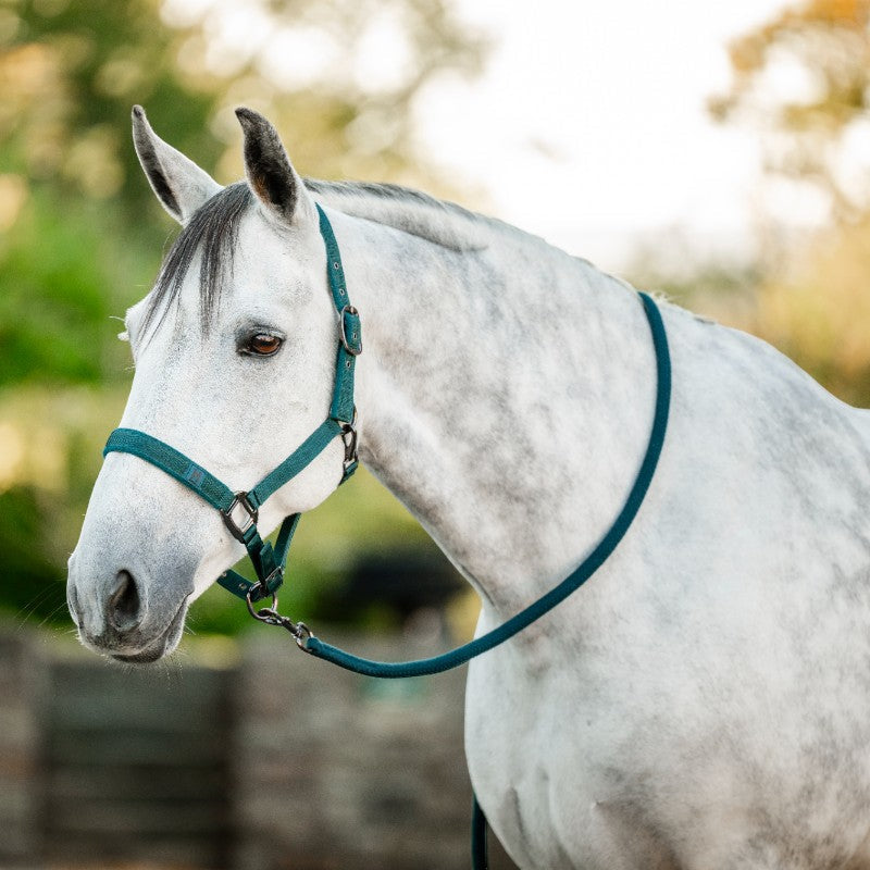 Horseware - Halter and lead rope dynasty green 