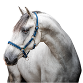 Horseware - Licol pour chevaux Amigo bleu et argent
