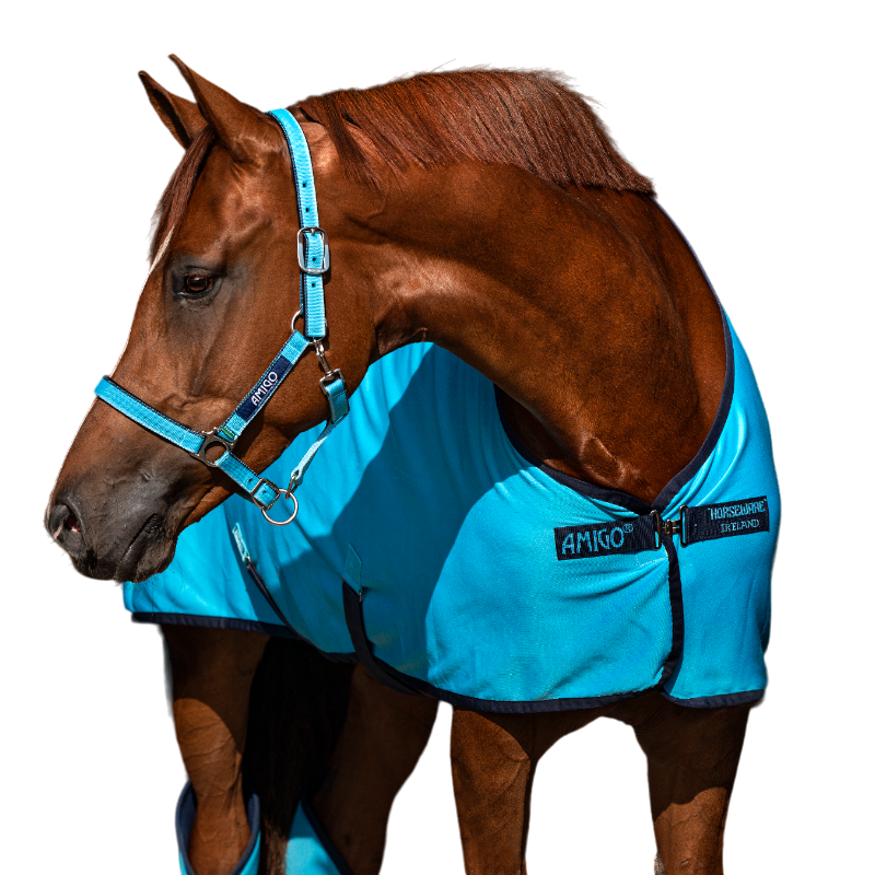 Horseware - Licol pour chevaux Amigo delphinium blue et marine