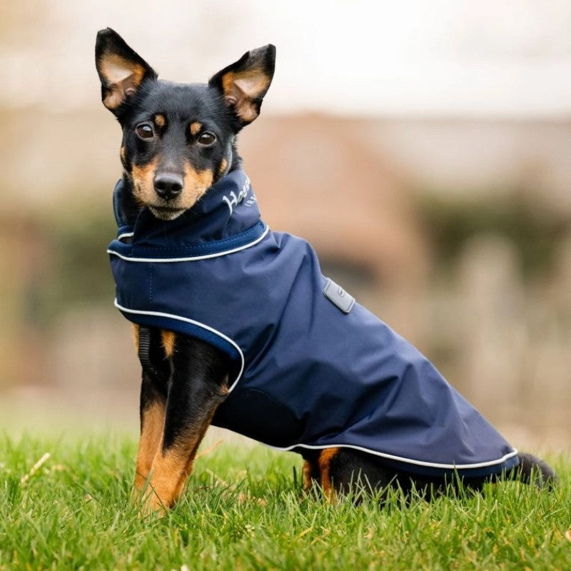 Horseware - Manteau imperméable pour chiens Signature marine | - Ohlala