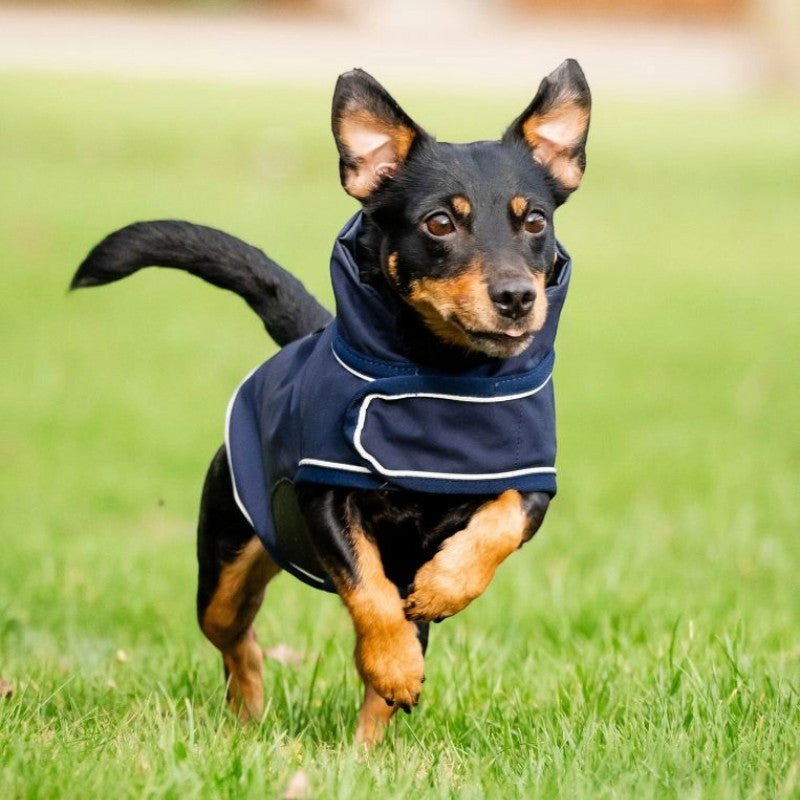 Horseware - Manteau imperméable pour chiens Signature marine | - Ohlala