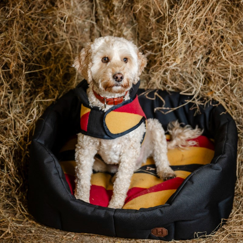 Horseware - Hundekorb Newmarket Witney Gold 