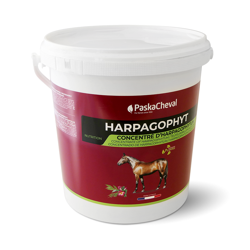 Paskacheval - Complément alimentaire soutien articulaire Harpagophyt