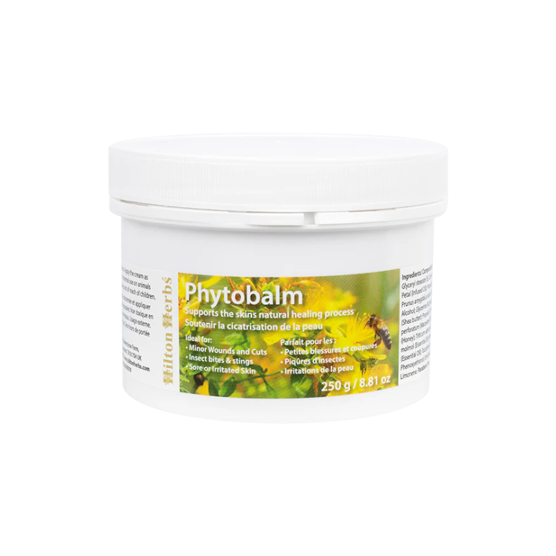 Hilton Herbs - Heilrahmrohr Phytobalm