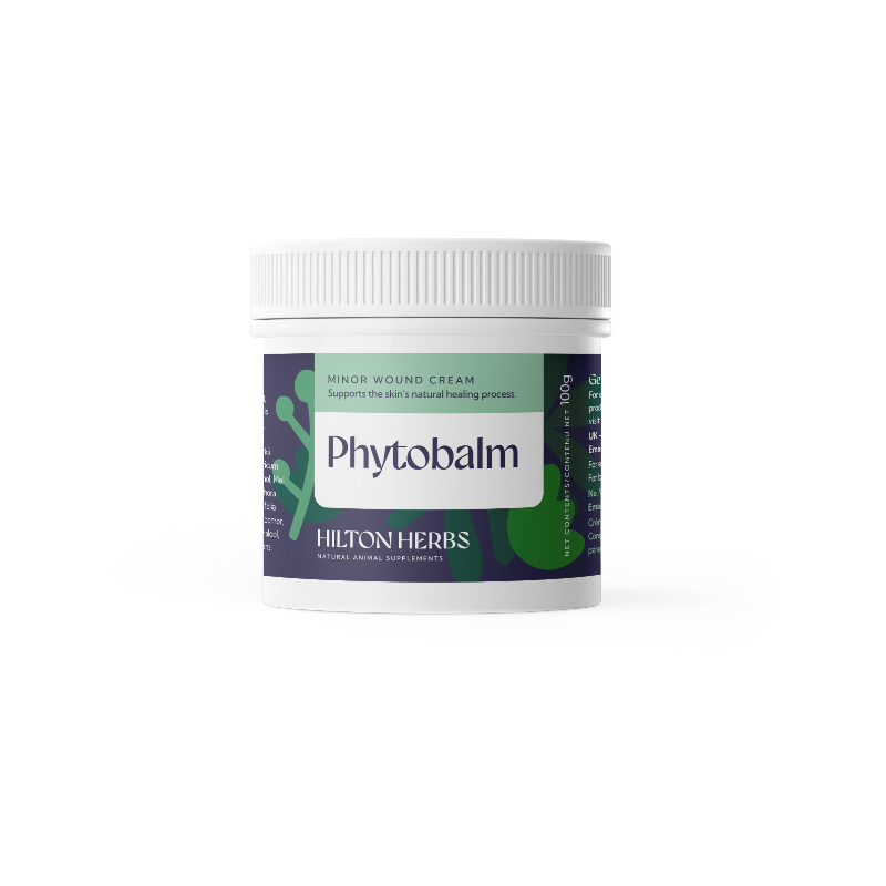 Hilton Herbs - Healing cream Tube Phytobalm