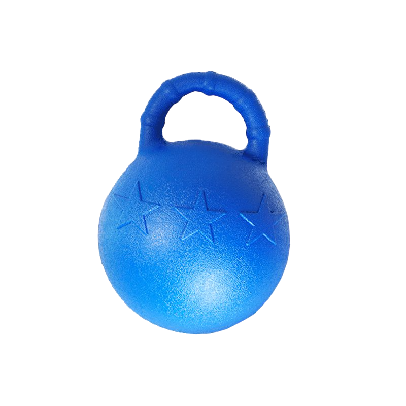 Hippotonic - Ballon à poignée Bleu Roi
