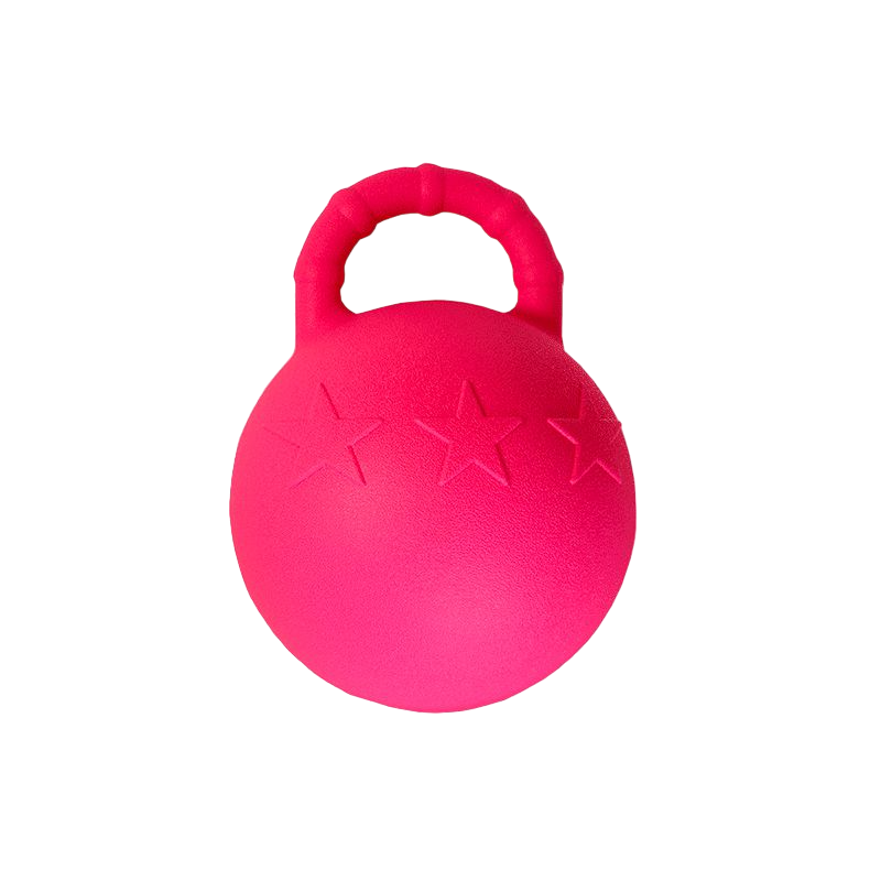 Hippotonic - Ballon met Fuchsia -handvat