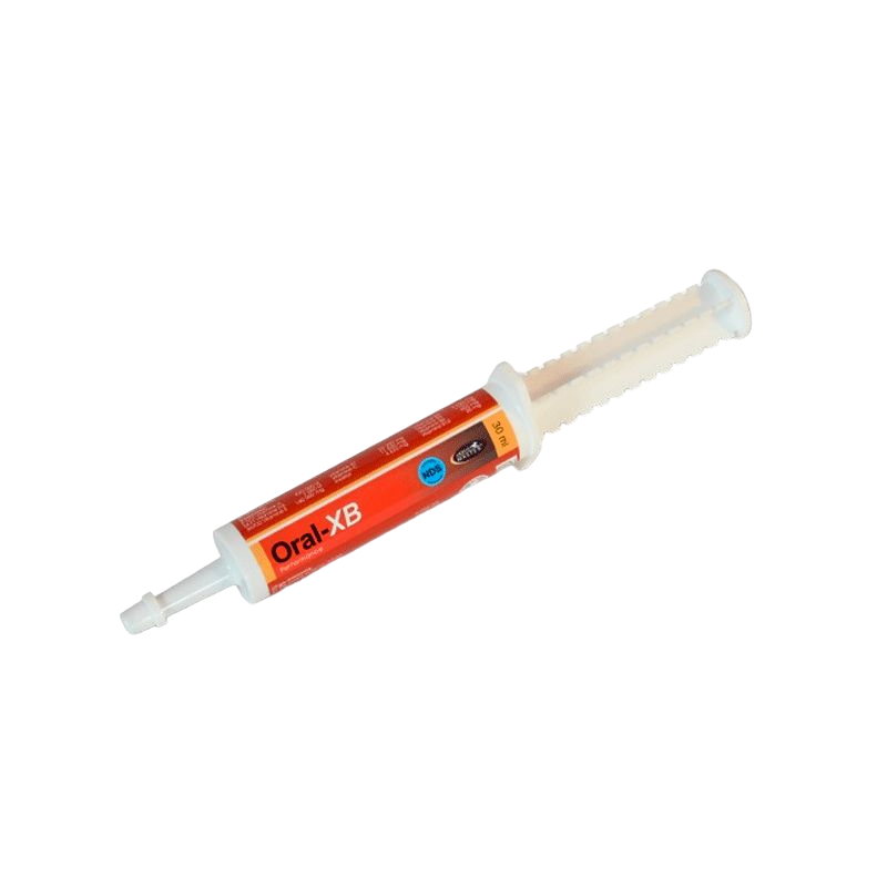Horse Master - Complément alimentaire seringue booster vitamine B Oral XB