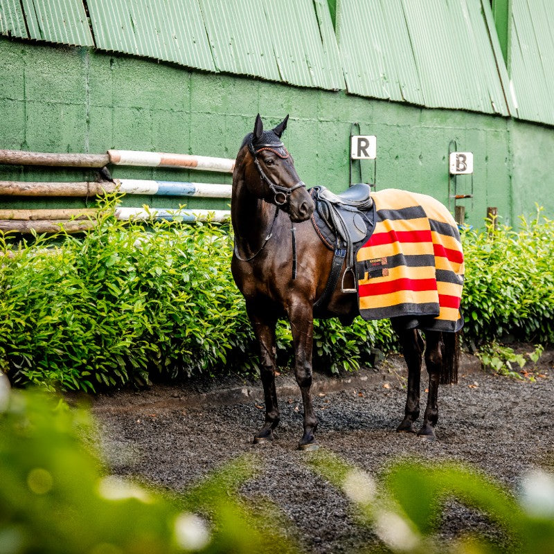 Horseware - Polarbedeckung Newmarket Witney Gold 