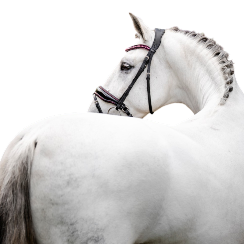 Horseware - Bridon Diamante Flash noir/ rose | - Ohlala