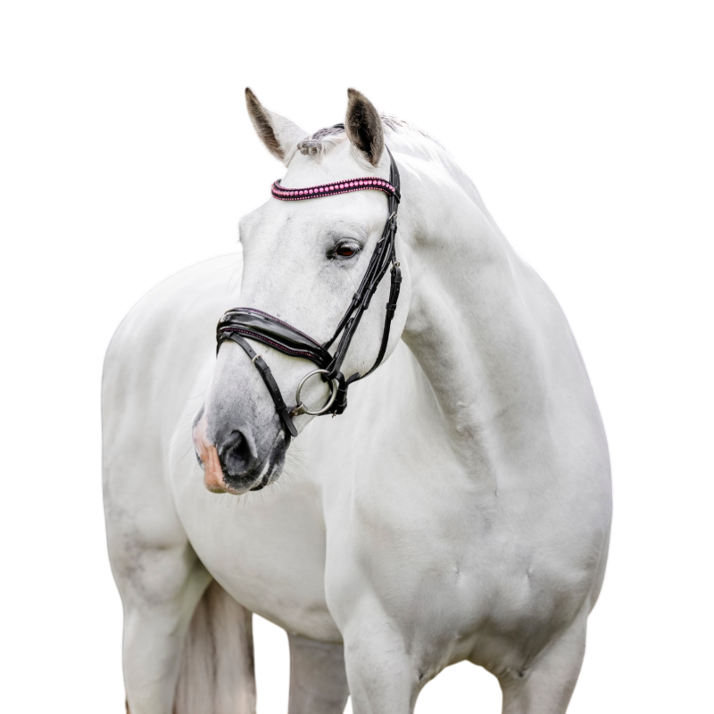 Horseware - Bridon Diamante Flash noir/ rose | - Ohlala
