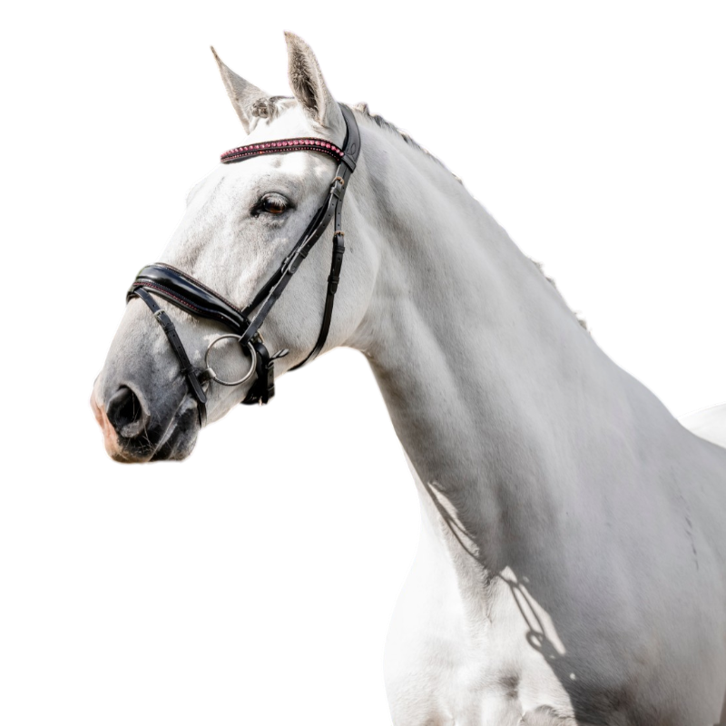 Horseware - Bridon Diamante Flash noir/ rose | - Ohlala