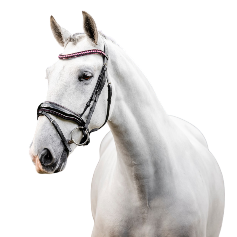 Horseware - Bridon Diamante Flash noir/ rose | - Ohlala