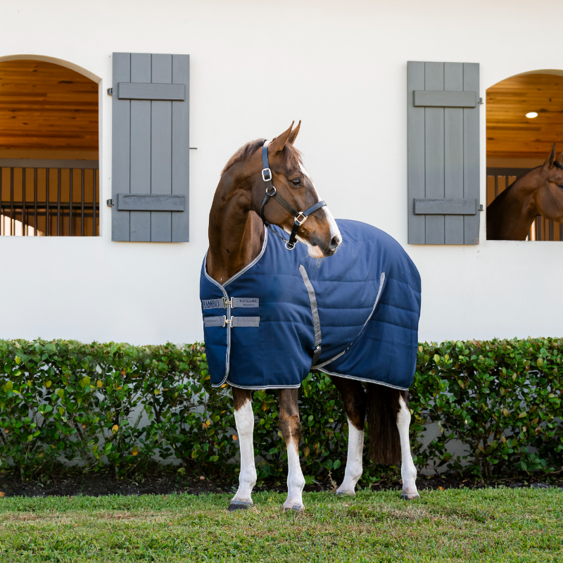 Horseware - Rambo Stable boxcover marine/ onweer grijs/ zilver 400g 