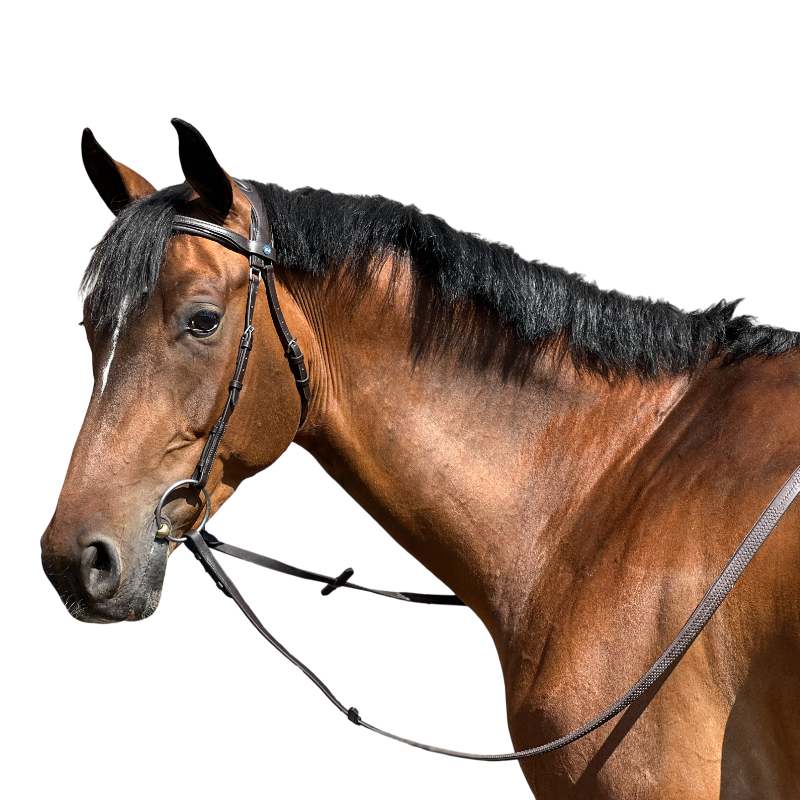 TdeT - Essentiële Comfort Hoofdstel zonder neusriem donkerbruin 