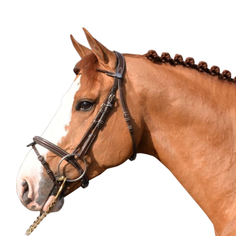 Jump'In - Week Monday bridle with reins