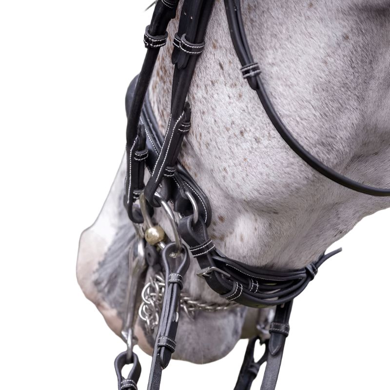 Jump'In - Varnished bridle with reins 