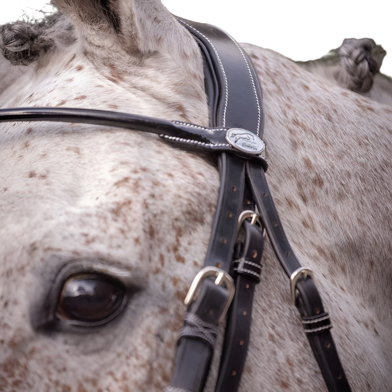 Jump'In - Varnished bridle with reins 