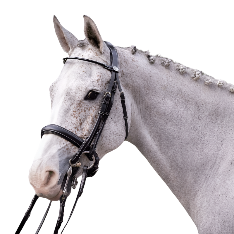 Jump'In - Varnished bridle with reins 