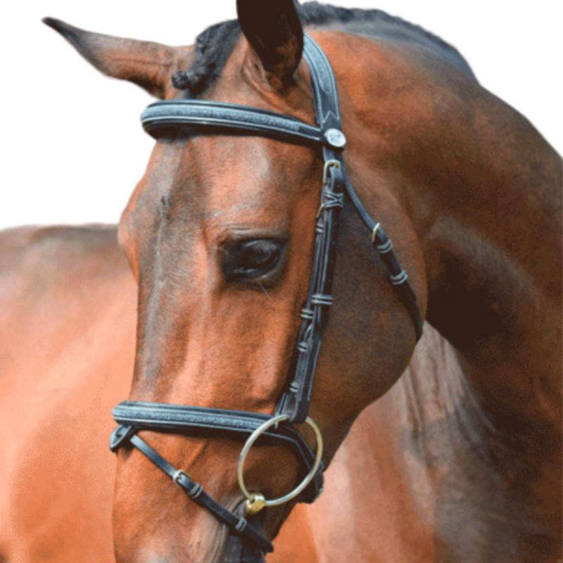 Jump'In - Week Crystal bridle with navy reins