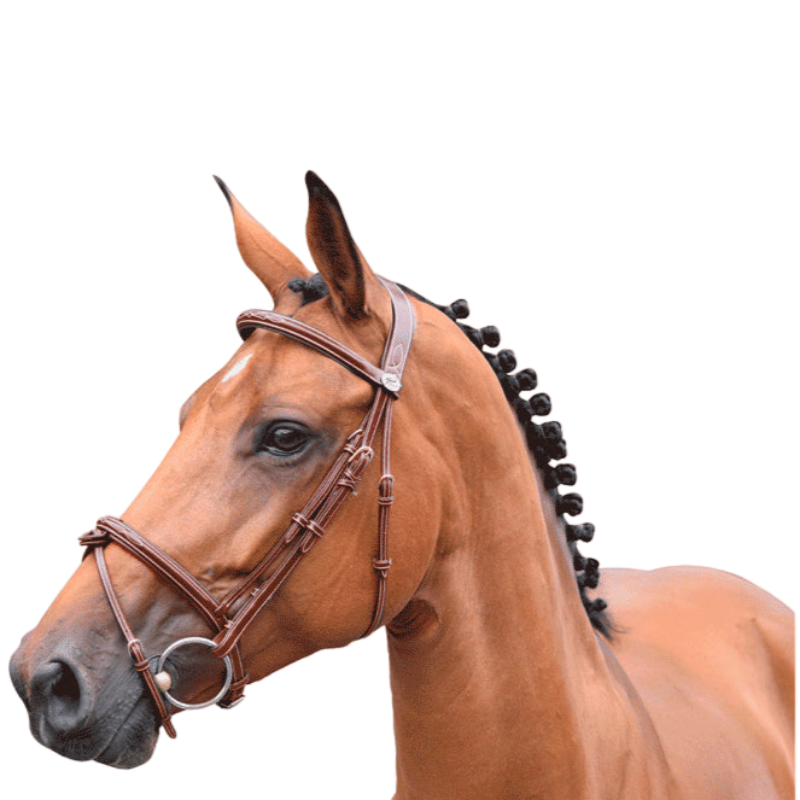 Jump'In - Bridle Week Thursday noseband combined with reins