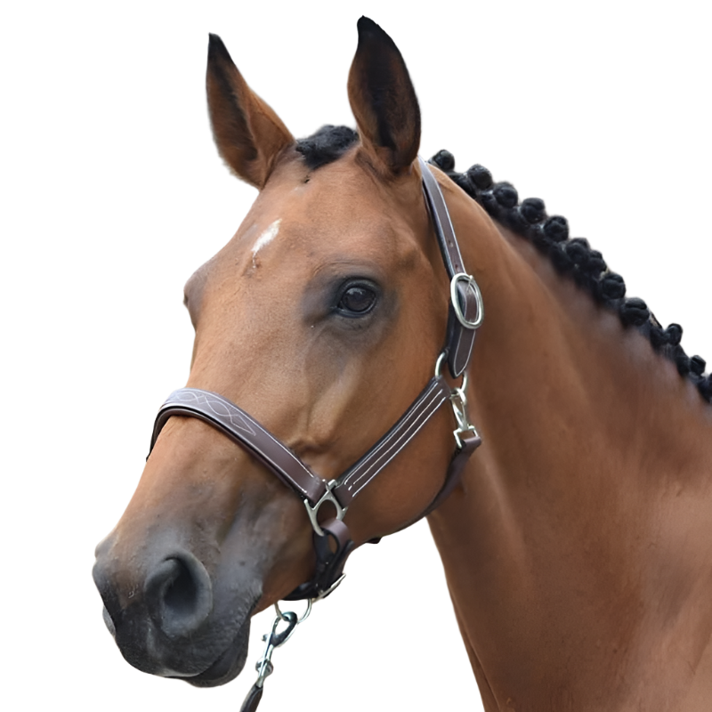 Jump'In - Halter Fancy One Hazelnut