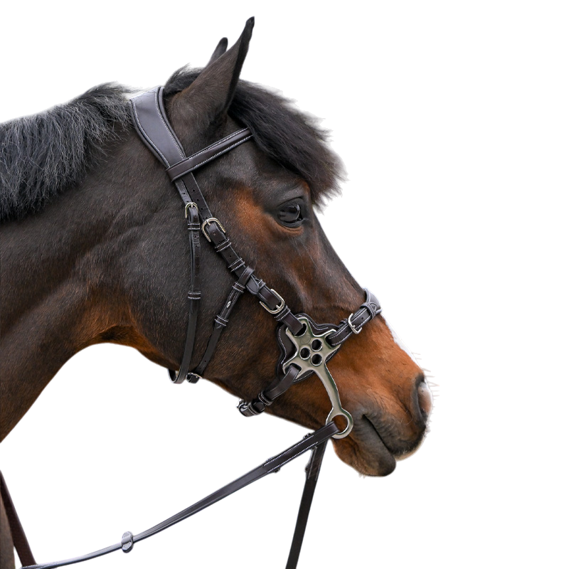 Jump'In - Bridon One Premium Hackamore havana 