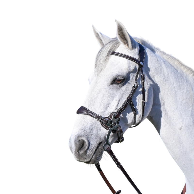 Jump'In - Bridon One Premium Hackamore zwart 