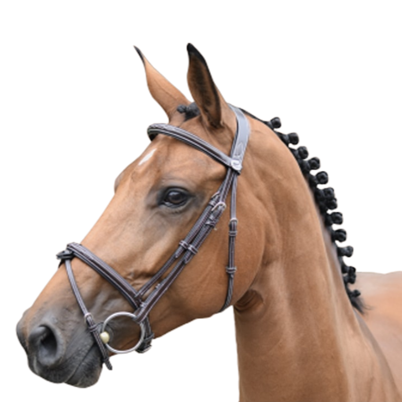 Jump'In - Bridle Week Thursday noseband combined with reins