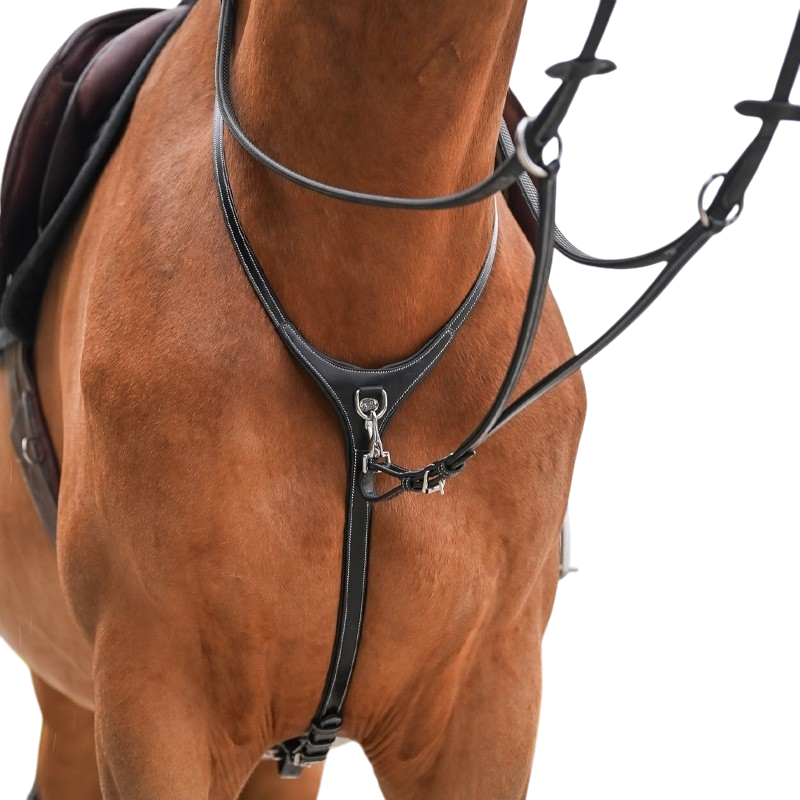 Jump'In - Halsband und Martingale One Premium schwarz 