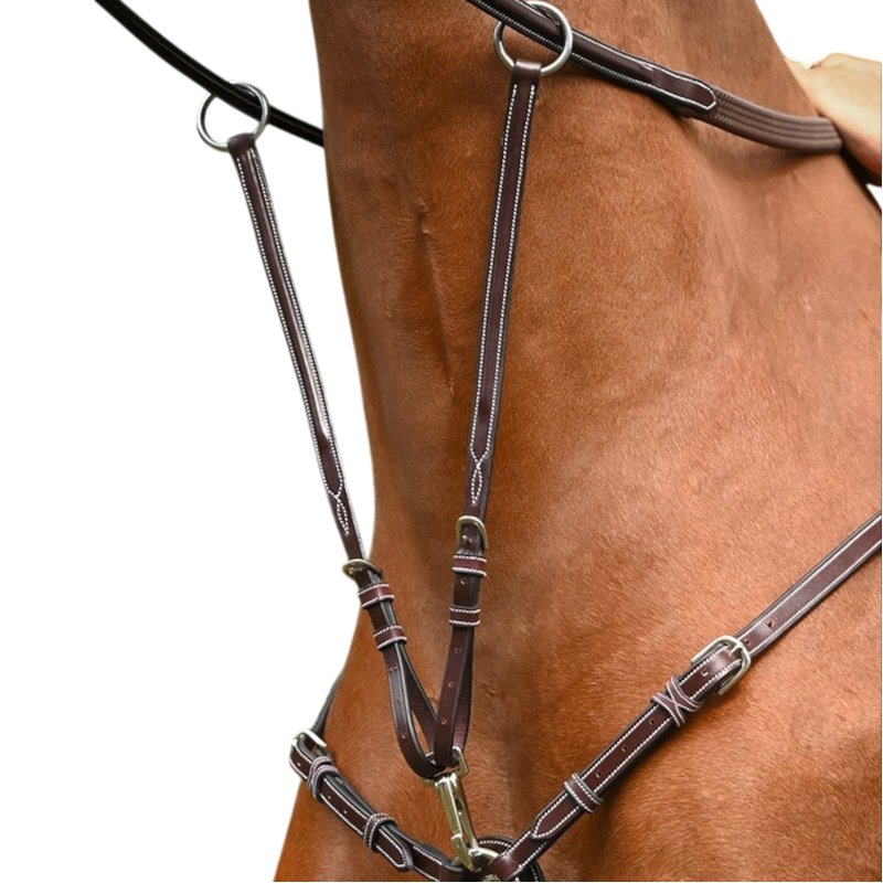 Jump'In - Martingale de collier monday et tuesday havane