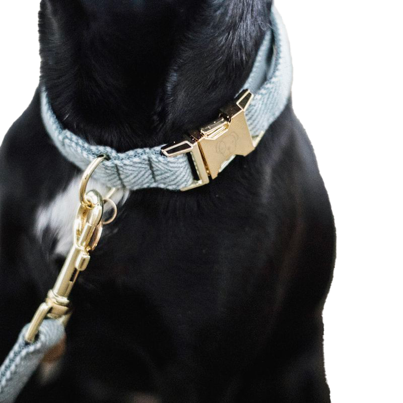 Kentucky Dogwear - Collier pour chiens Wool bleu clair