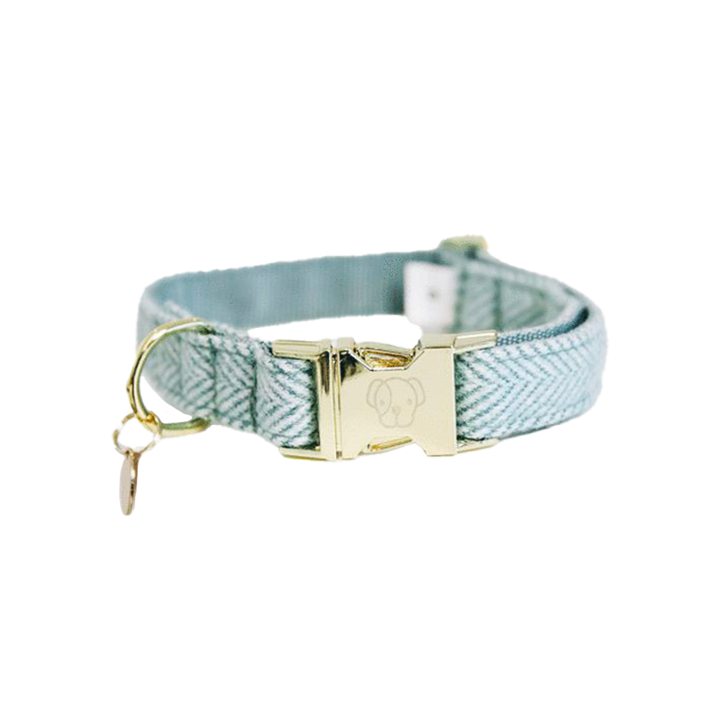 Kentucky Dogwear - Hundehalsband aus Wolle in Hellblau