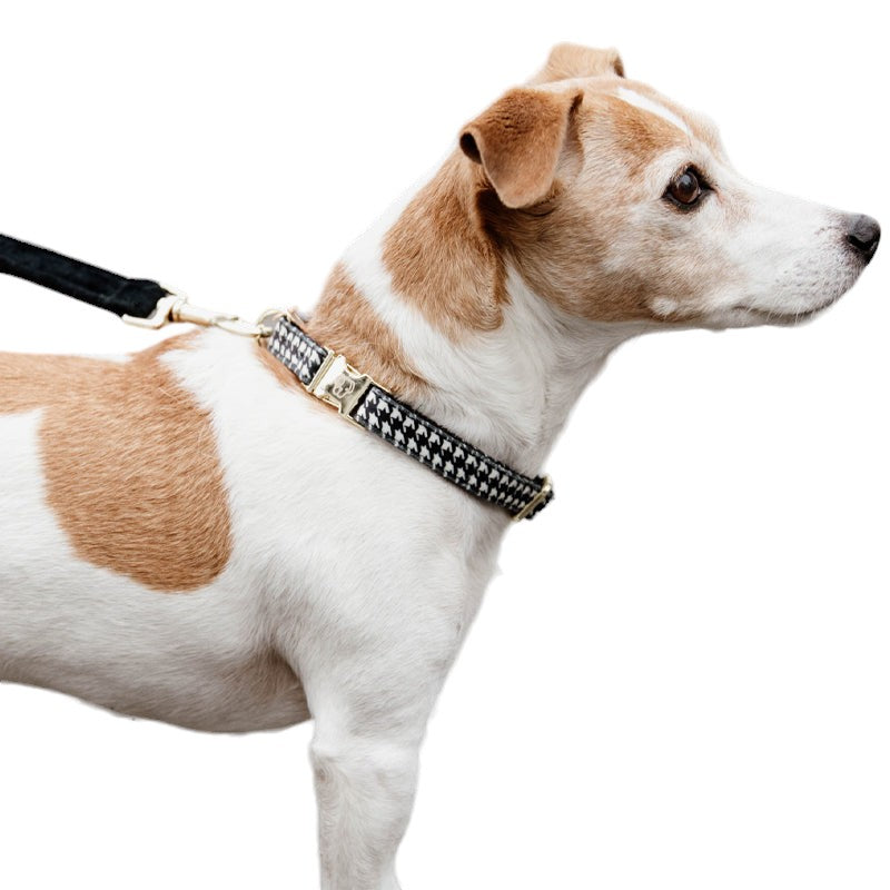 Kentucky Dogwear – Schwarzes Hundehalsband mit Hahnentrittmuster