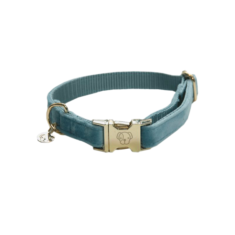 Kentucky Dogwear - kettingen voor fluwelen bleu ciel honden