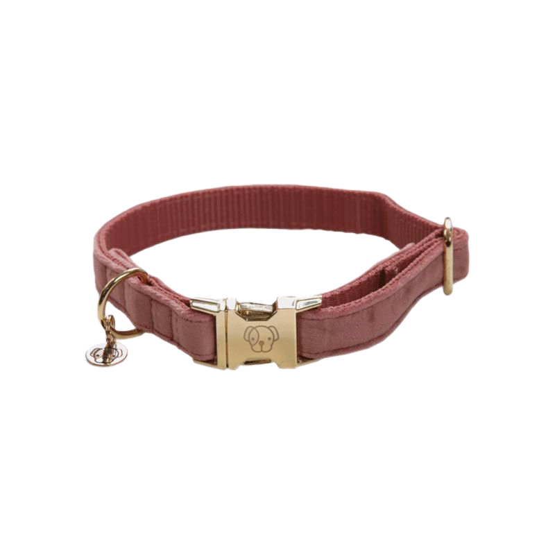 Kentucky Dogwear - kragen voor roze fluwelen honden