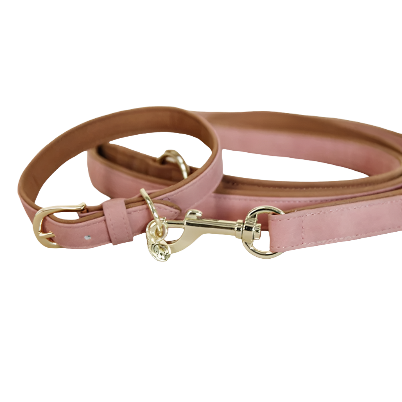 Kentucky Dogwear – Hundehalsband aus veganem Leder in Pfirsich/Braun