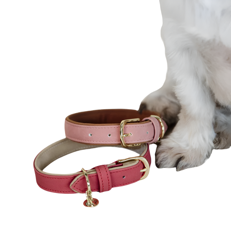 Kentucky Dogwear – Hundehalsband aus veganem Leder in Pfirsich/Braun