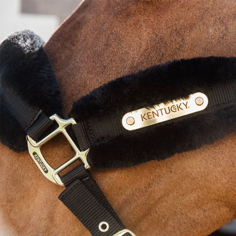 Kentucky Horsewear - Licol nylon mouton soft noir | - Ohlala