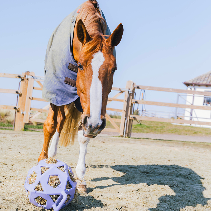 Kentucky Horsewear - Balle de jeu/ balle à foin lavender | - Ohlala