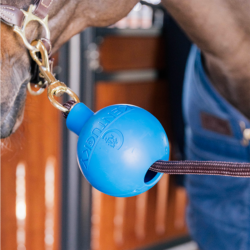 Kentucky Horsewear - Balle de protection d'attache bleu royal | - Ohlala