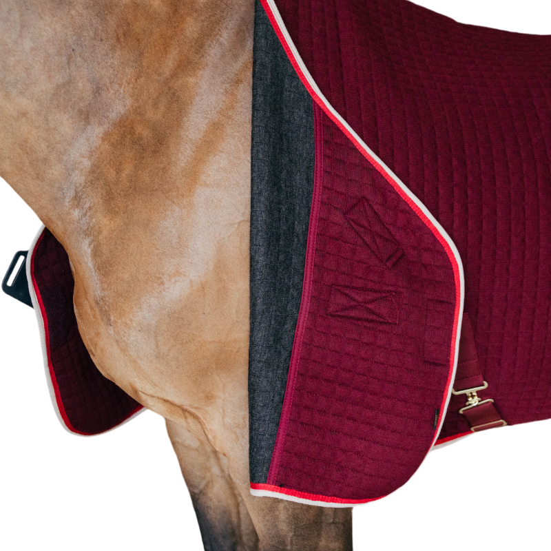 Kentucky Horsewear - Chemise séchante Protherm bordeaux