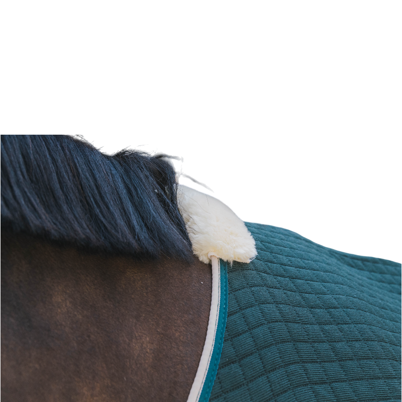 Kentucky Horsewear - Chemise séchante Protherm vert foncé