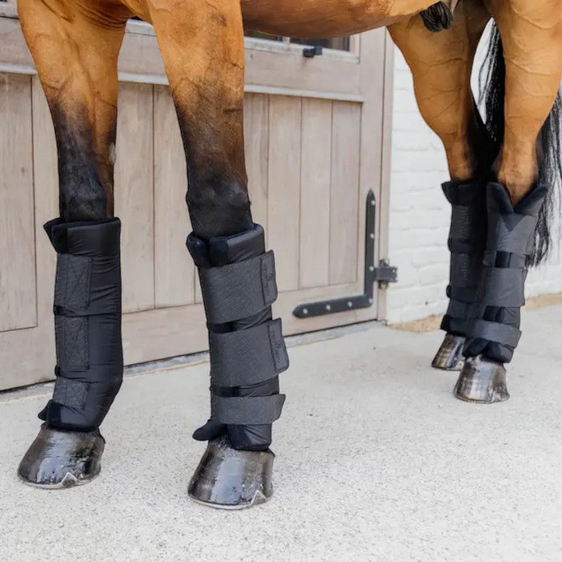 Kentucky Horsewear - Guêtres d'écurie Protect Classic antérieurs noir (x2)
