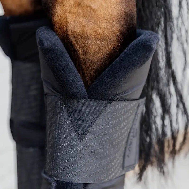 Kentucky Horsewear - Guêtres d'écurie Protect Classic postérieurs noir (x2)