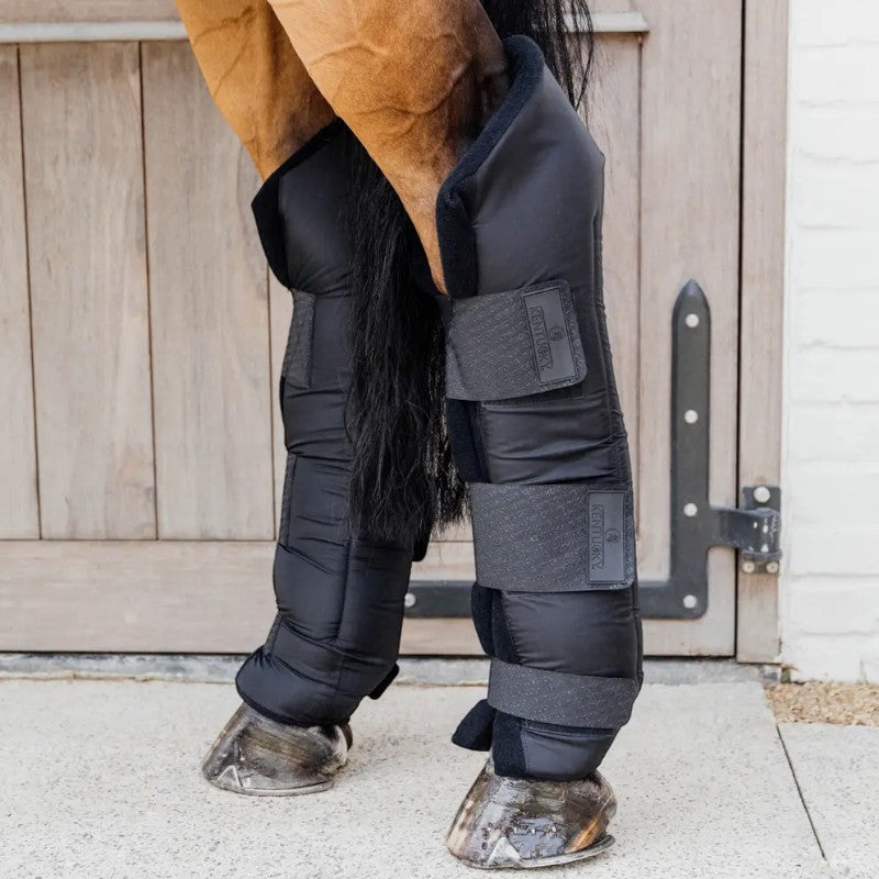 Kentucky Horsewear - Guêtres d'écurie longues Protect postérieurs noir (x2)