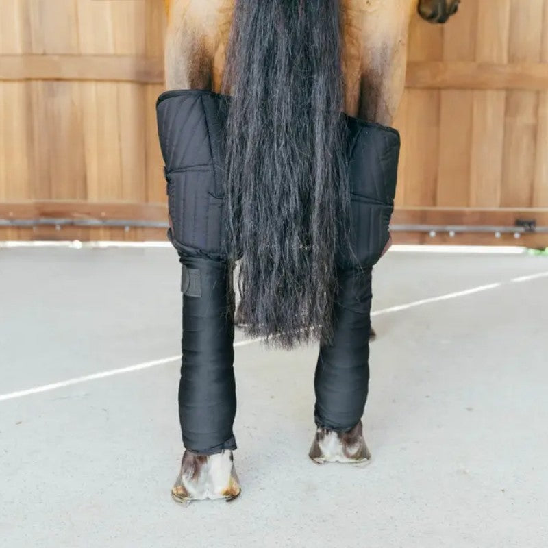 Kentucky Horsewear - Protections de transport noir (x2)