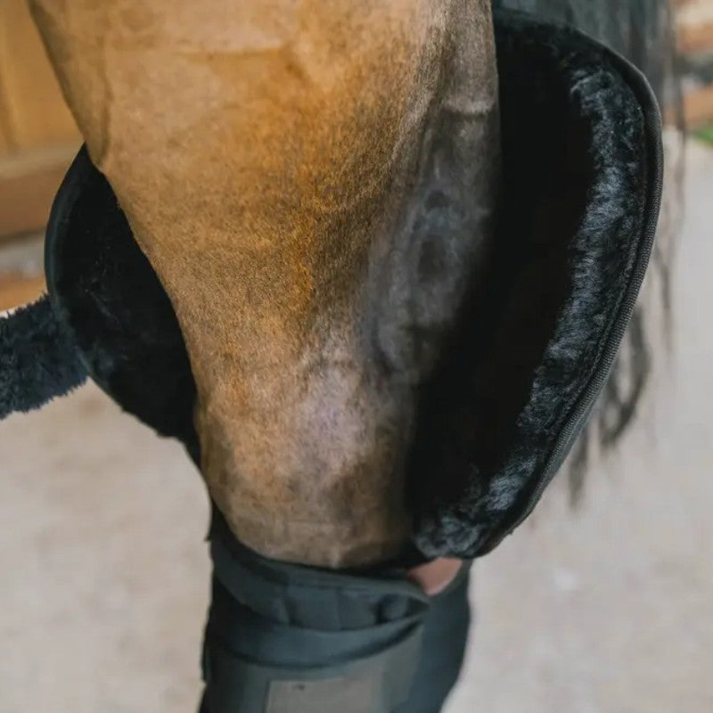 Kentucky Horsewear - Protections de transport noir (x2)